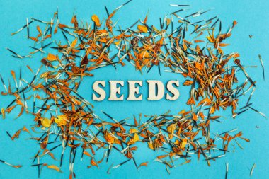 Karışık tohum ve yaprakları çiçek mavi arka plan, kelime 