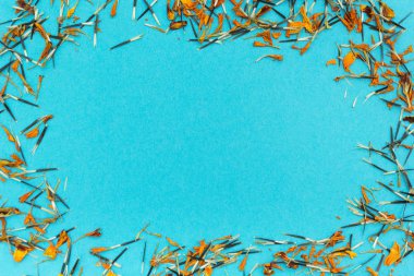 Parlak sarı ve turuncu tohum ve yaprakları çiçek mavi arka plan, metin için yer.