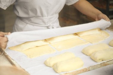 Profesyonel şef mutfakta hamur topluyor. Ticari fırıncı.