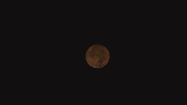 Volle maan achter wolken 's nachts. — Stockvideo