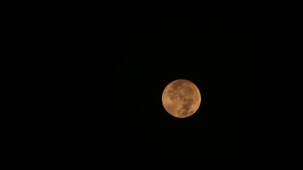 Luna llena detrás de las nubes por la noche. — Vídeo de stock