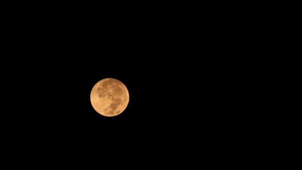 Lua cheia atrás das nuvens à noite. — Vídeo de Stock