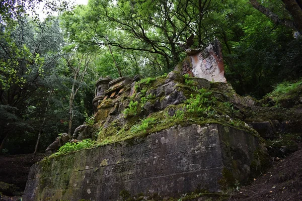 Túmulos medievais antigos no meio da floresta . — Fotografia de Stock