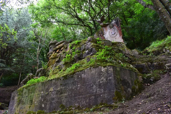 Tombes médiévales antiques au milieu de la forêt . — Photo