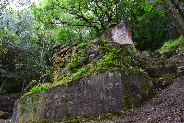 Ormanın ortasında antik Ortaçağ mezarlar. — Stok fotoğraf