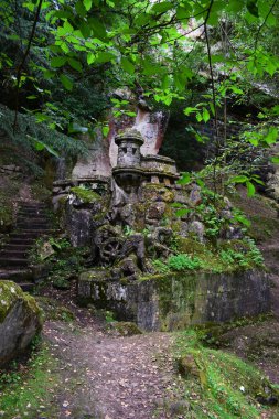 Ormanın ortasında antik Ortaçağ mezarlar.