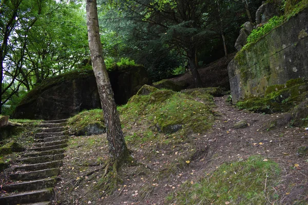 Dağlık ormanlar, doğa.