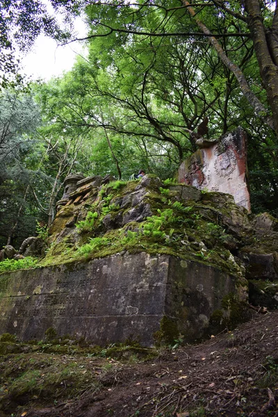 Ormanın ortasında antik Ortaçağ mezarlar.