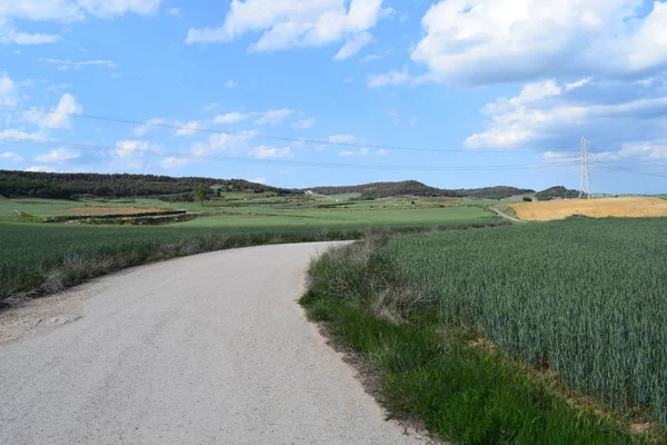 Alanlar ve yaz aylarında gökyüzü manzara.