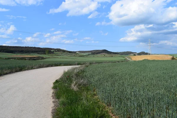 Alanlar ve yaz aylarında gökyüzü manzara.