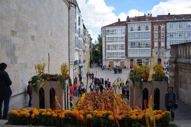Çiçekler katedralin Burgos, İspanya.