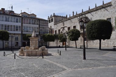 Yaz aylarında şehir sokakları.