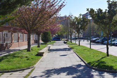 Bahar bahçeleri arasında yürür.