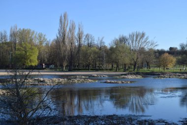 Sonbaharda riparian manzara.