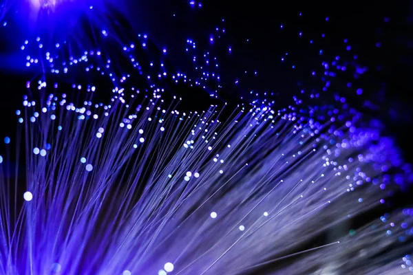 Blue optic fiber cable close up