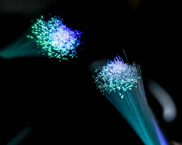 Mavi optik fiber kablo yakın çekim — Stok fotoğraf