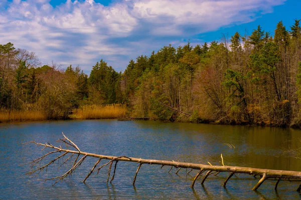 Bahar kış ortaya çıkıyor.