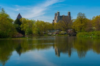 Central Park'ta bir sessiz göl