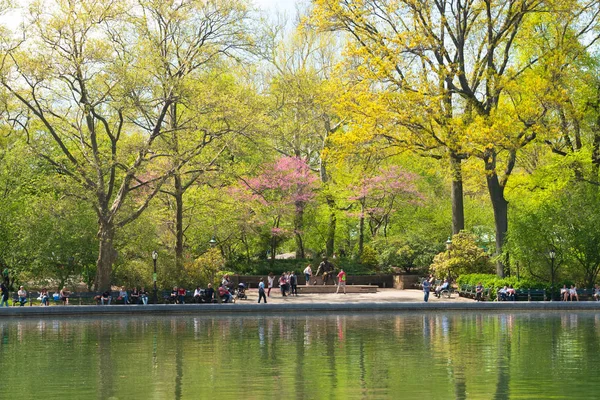 Vinterträdgården dammen i Central Park — Stockfoto