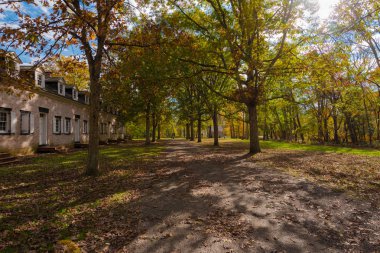Parkta yürüyüş yolu
