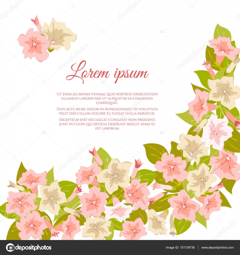 invitaci 243 n de boda en tres papeles distintos digitalpapel fondos de flores para tarjetas de bodas rosa flores vintage en fondo blanco para invitaci 243 n de invitaci 243 n de boda en tres papeles distintos digitalpapel fondos de flores para tarjetas de bodas rosa flores vintage en fondo blanco para invitaci 243 n de