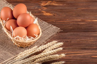 Tavuk yumurta yatay banner. Eko tarım kavramı. Kırmızı yumurta ve buğday kulaklar kahverengi ahşap dokulu arka plan üzerine Sivas'tan parçası üzerinde. Organik gıda.