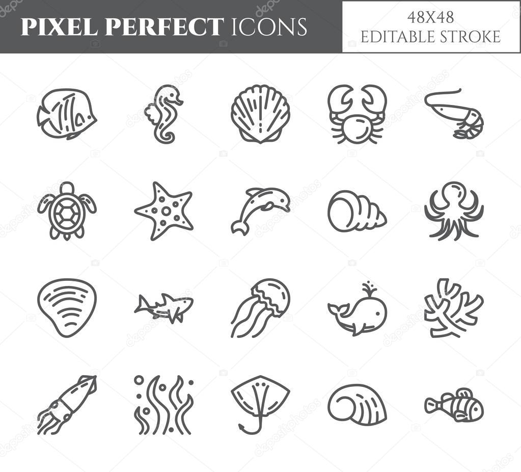 Marine theme pixel perfect thin line icons. Set of elements of fish, shell, crab, shark, dolphin, turtle and other sea creatures related pictograms. Vector illustration. 48x48 pixels. Editable stroke.