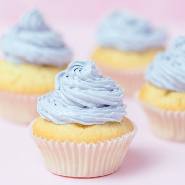 Cupcake pastel pembe bir arka plan üzerinde Menekşe buttercream ile dekore edilmiştir. Tatlı güzel pasta. Afiş, düğün, doğum günü, kadınlar günü için tebrik kartı kare. Fotoğraf kadar kapatın. Seçici odak
