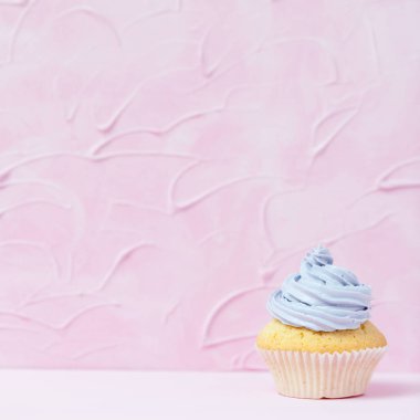 Cupcake pastel pembe bir arka plan üzerinde Menekşe buttercream ile dekore edilmiştir. Tatlı güzel pasta. Afiş, düğün, doğum günü, kadınlar günü için tebrik kartı kare. Fotoğraf kadar kapatın. Seçici odak
