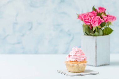 Cupcake pembe dekorasyon ve mavi retro eski püskü şık vazoda gül buketi.