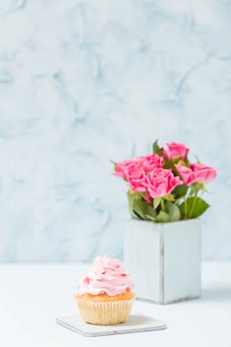 Cupcake pembe dekorasyon ve mavi retro eski püskü şık vazoda gül buketi.