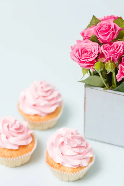 Cupcakes dengan hiasan buttercream pink dan mawar merah muda di vas chic retro biru lusuh . — Stok Foto