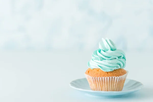 Cupcake with blue cream decoration on plate - blue pastel horizontal banner with beautiful dessert and copy space.