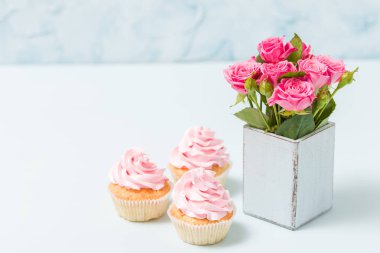 Cupcake pembe krem dekorasyon ve mavi retro shabby chic vazo içinde pembe güller.
