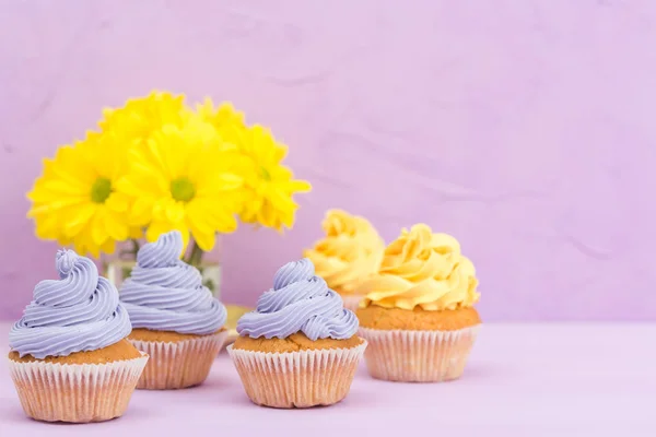 Cupcakes decorados com creme amarelo e violeta e crisântemos em fundo pastel violeta para cartão de saudação com copyscape . — Fotografia de Stock