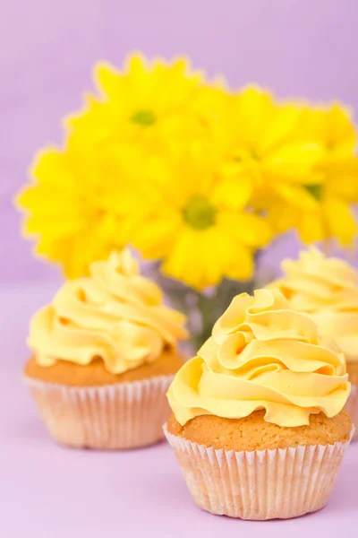 Cupcakes decorados com creme amarelo e crisântemos em fundo pastel violeta para cartão de saudação com copyscape . — Fotografia de Stock