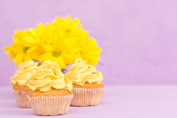 用黄色奶油和菊花装饰的纸杯蛋糕紫色柔和的背景贺卡与 copyscape. — 图库照片