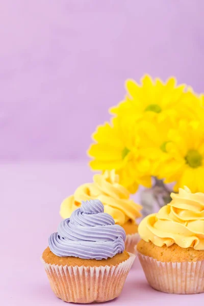 Cupcakes decorados com creme amarelo e violeta e crisântemos em fundo pastel violeta para cartão de saudação com copyscape . — Fotografia de Stock