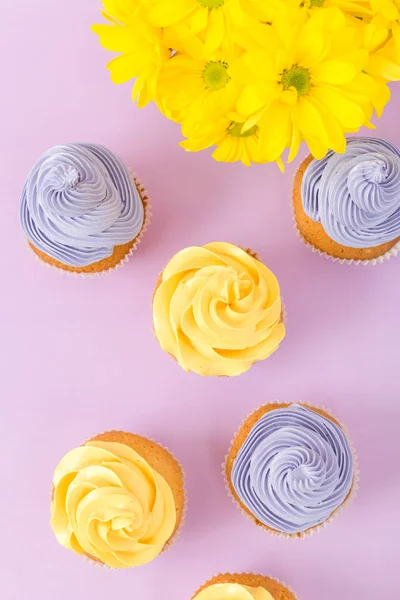 Cupcakes verziert mit gelber und violetter Creme und Chrysanthemen auf violettem Pastell-Hintergrund für eine Grußkarte mit Copyscape. — Stockfoto