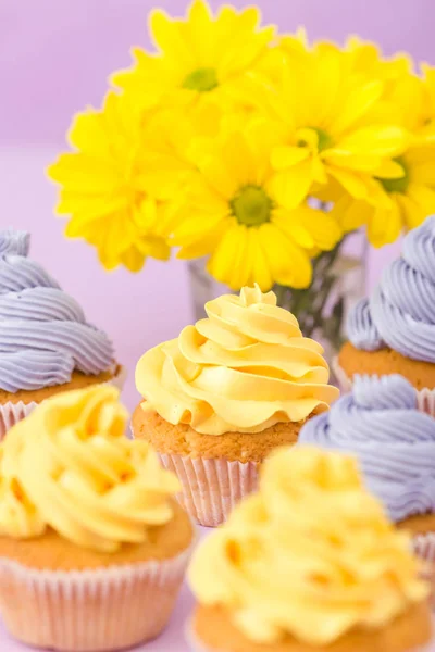 Cupcakes decorados com creme amarelo e violeta e crisântemos em fundo pastel violeta para cartão de saudação com copyscape . — Fotografia de Stock