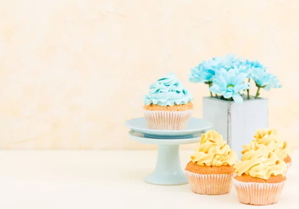 Cupcake com doce azul e amarelo buttercream decoração e crisântemo azul em vaso chique shabby retro . — Fotografia de Stock