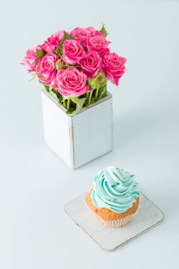 Cupcake pastel mavi zemin üzerine retro eski püskü şık vazoda nazik mavi krem ve pembe Gül ile.