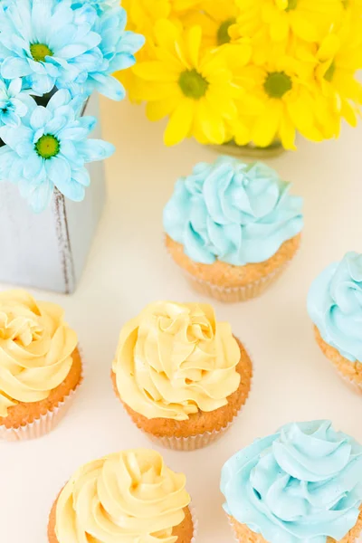 Crisântemo amarelo e azul em vaso chique gasto com cupcakes decorados com creme macio. Área de Copyscape — Fotografia de Stock