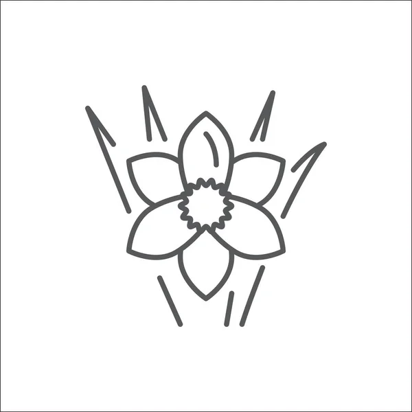 Narcissus bewerkbare lijn icon - prachtige lente bloem pixel perfect vectorillustratie geïsoleerd op witte achtergrond. — Stockvector