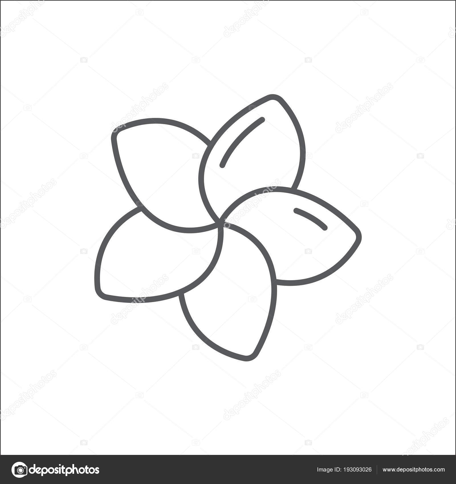 Icon: tropical flower outline | Plumeria editable outline ...