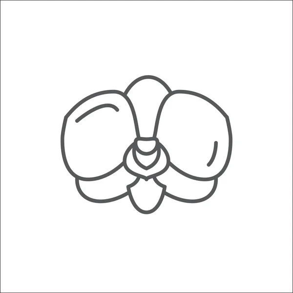 Орхидея редактируемый контур значок - пиксель идеальный символ цветения растений в тонкой линии художественный стиль . — стоковый вектор