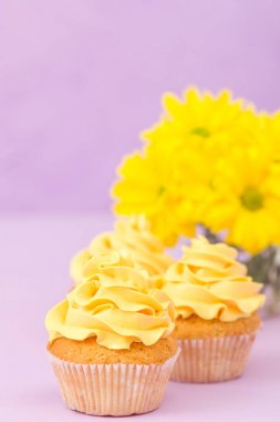 Sarı krem ve Kasımpatı Menekşe pastel zemin üzerine cupcakes süslenmiş.