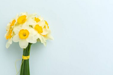Bahar nergis çiçek buketi - kopya alanı pastel mavi zemin üzerine beyaz Nergis, üstten görünüm.