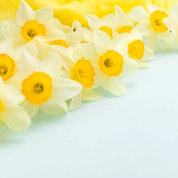 Flores de primavera Daffodil com decoração têxtil amarela em fundo pastel azul com espaço de cópia . — Fotografia de Stock