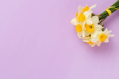 Kopya alanı Menekşe pastel zemin üzerine beyaz nergis buket.